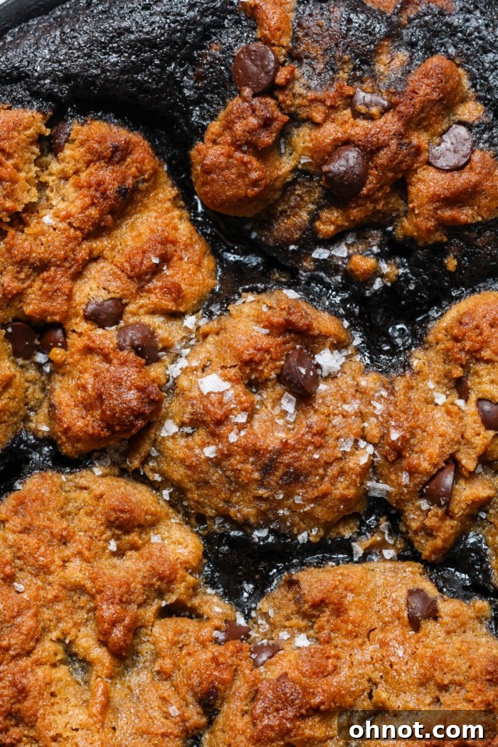 Close-up shot of a warm Brookie Skillet, showing the gooey chocolate and distinct layers.