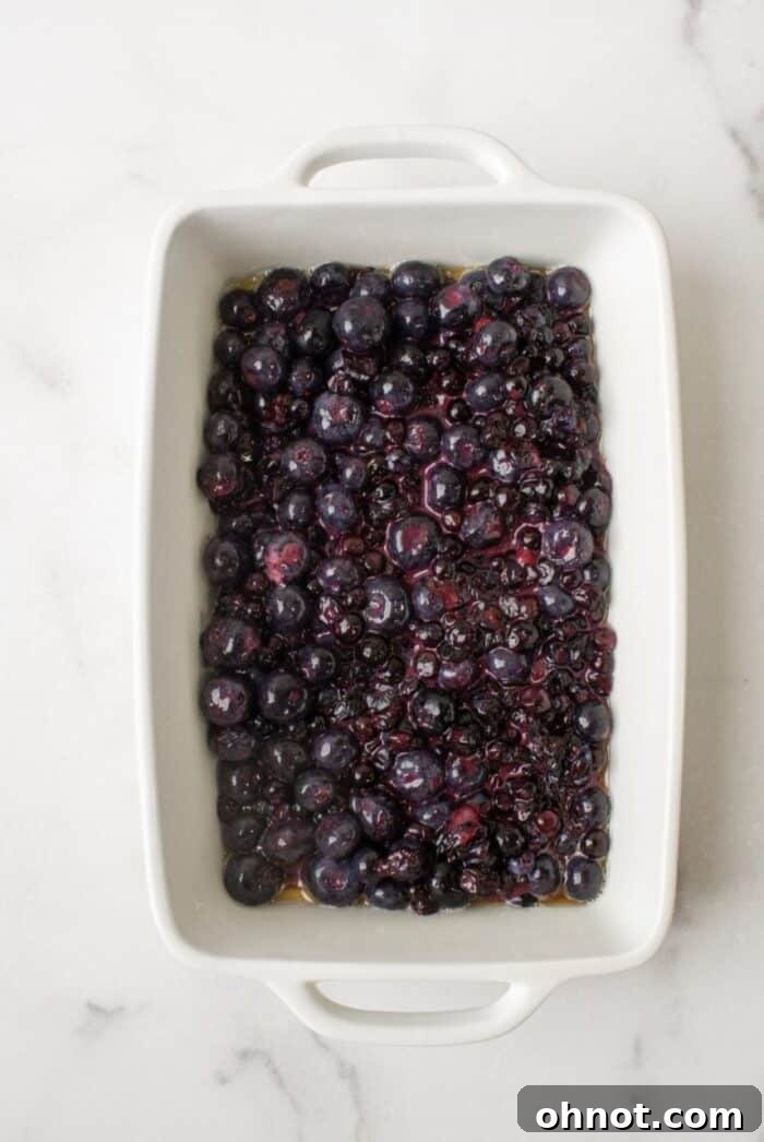 Fresh blueberries mixed with other ingredients in a casserole dish, ready for baking.