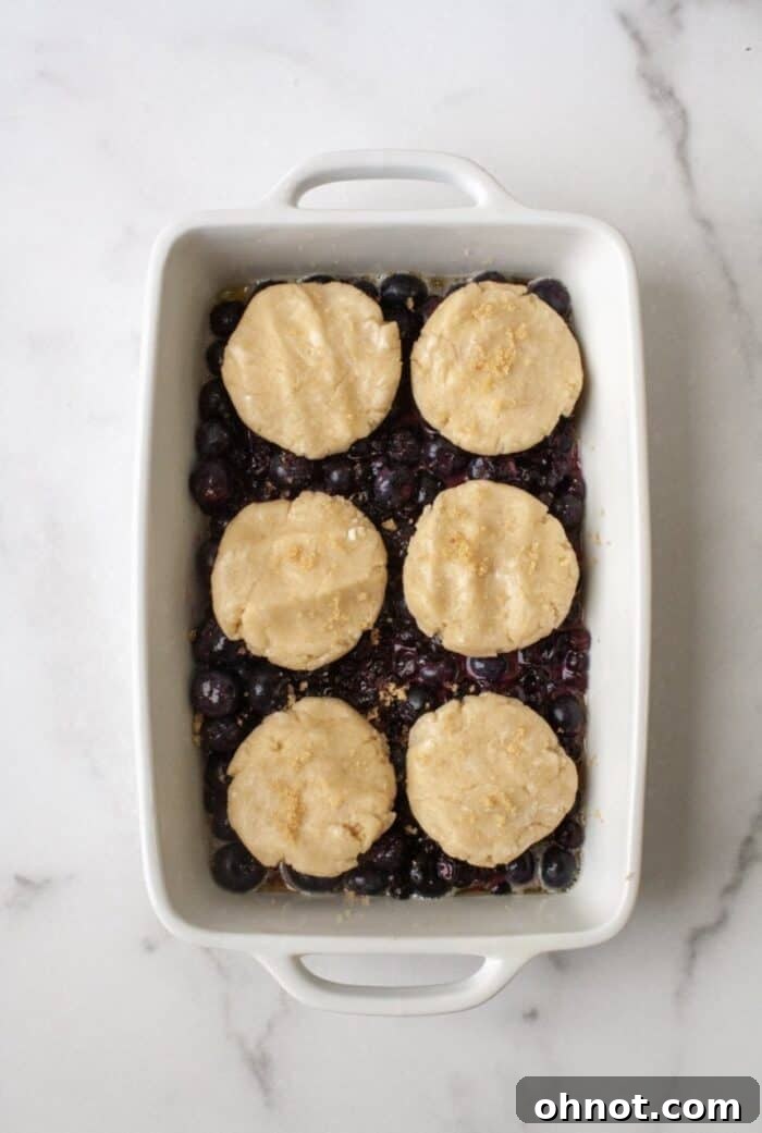 Gluten-free cobbler topping dough discs placed on top of blueberry filling in a white casserole dish.