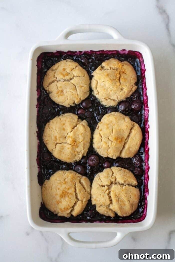 Baked gluten-free blueberry cobbler with golden topping and bubbly filling in a white baking dish.