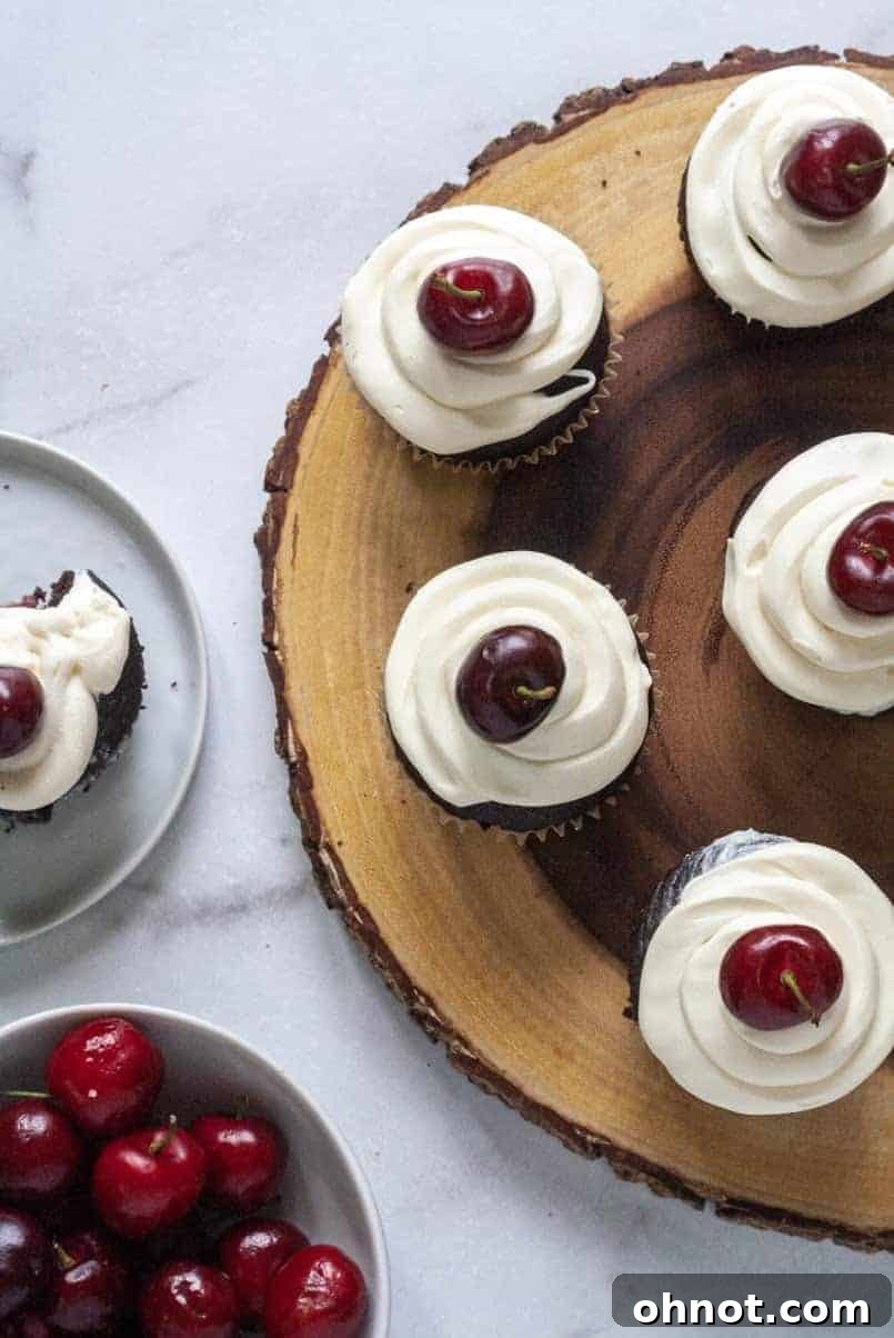 Plate of decorated chocolate cherry cupcakes