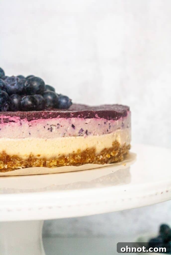 Whole raw blueberry cheesecake on a elegant white stand, garnished with fresh blueberries.