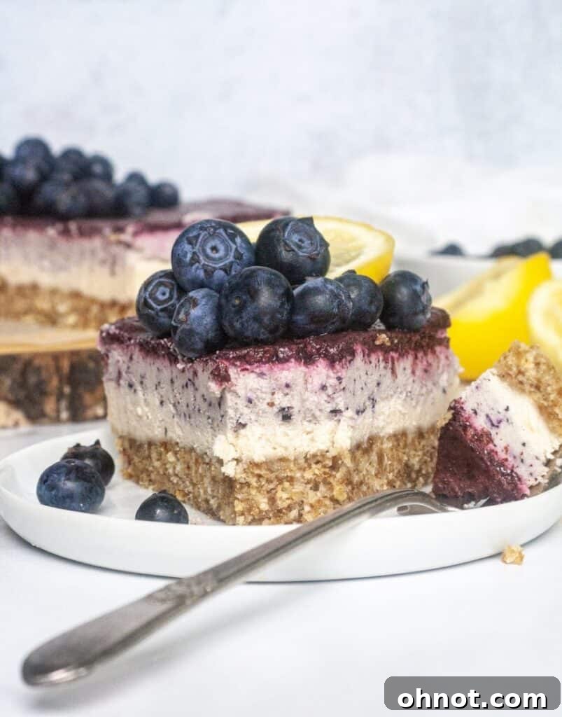 A pristine slice of Vegan blueberry cheesecake, garnished with fresh blueberries, on a clean white plate.