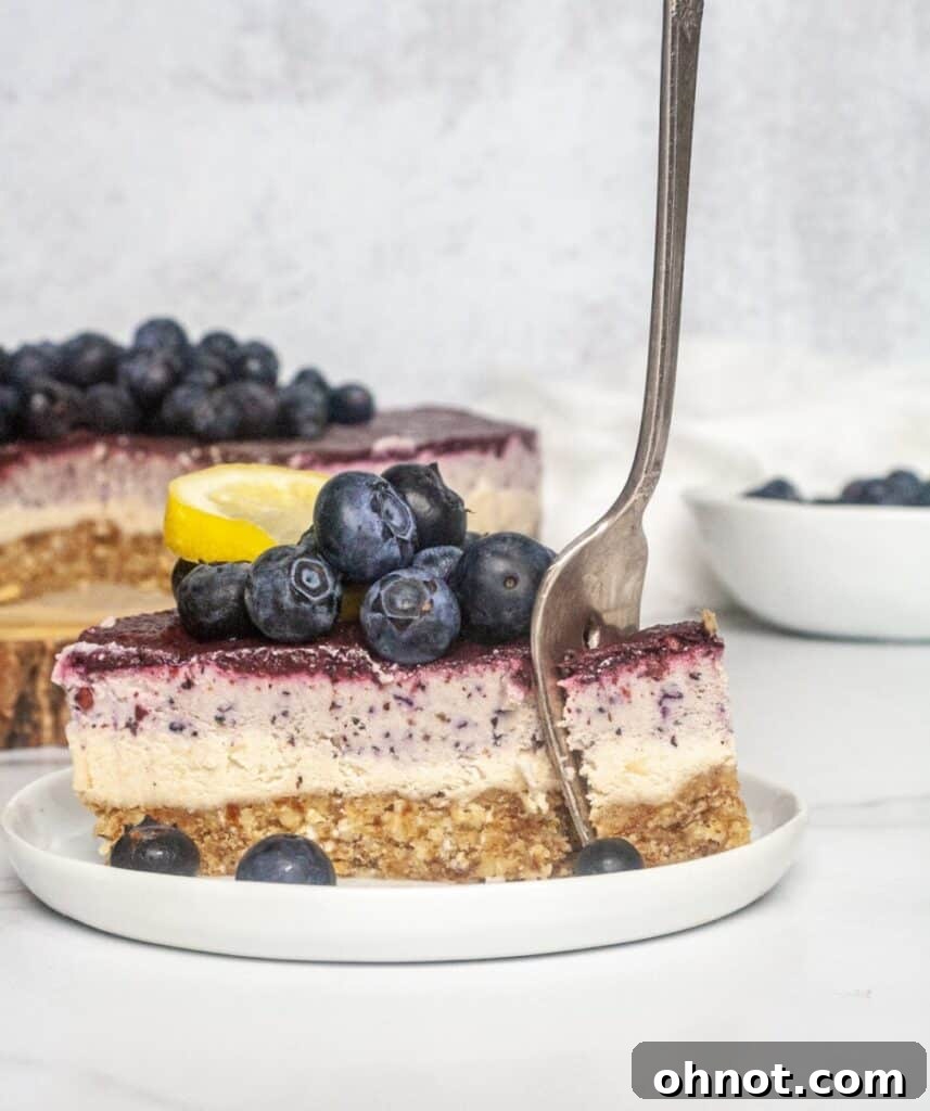 A large piece of raw blueberry cheesecake on a white plate, highlighting its generous size and inviting texture.