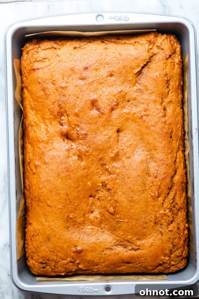 A freshly baked pumpkin cake still in the rectangular pan.