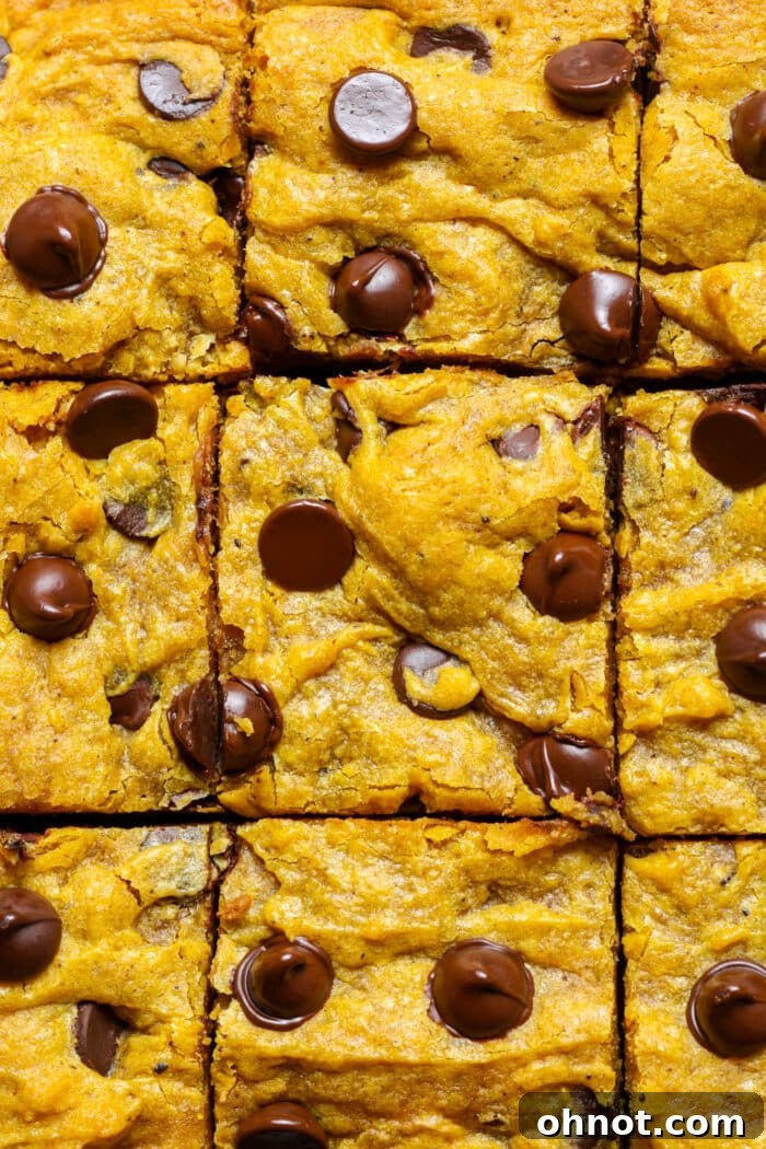 Gluten free pumpkin bars. Decadent dessert squares for autumn.