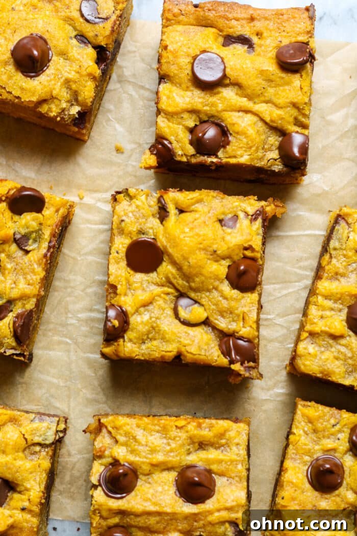 Chocolate chip squares. Close-up of gluten-free pumpkin bars with melted chocolate.