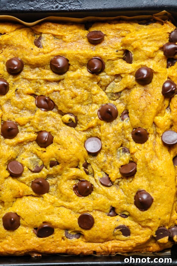 Baked pumpkin bars. Perfectly golden brown gluten-free pumpkin dessert.