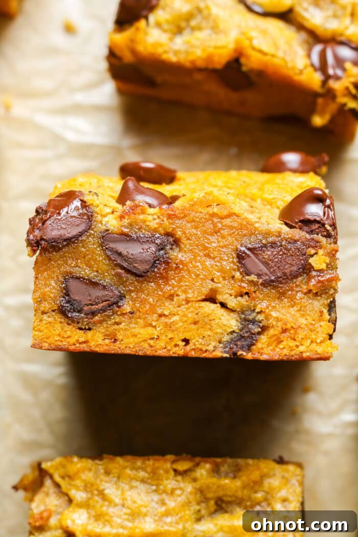 Close up of orange squares. Detailed view of a gluten-free pumpkin bar texture.