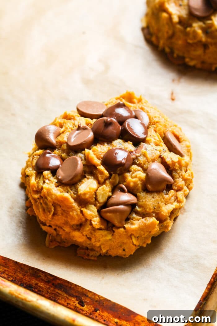 Close up of pumpkin oatmeal chocolate chip cookies.