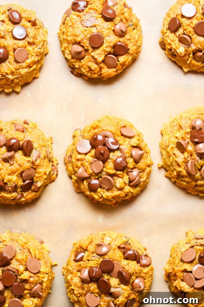 Thick milk chocolate cookies.