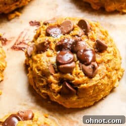 Pumpkin oatmeal chocolate chip cookies.