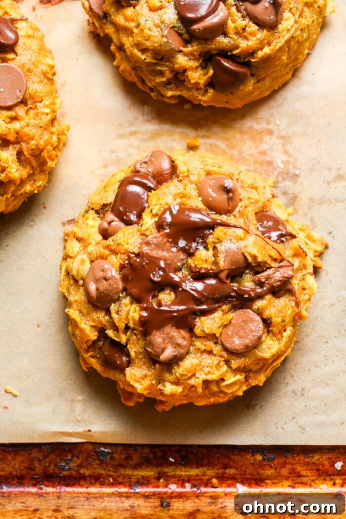 Soft gluten free pumpkin cookies.