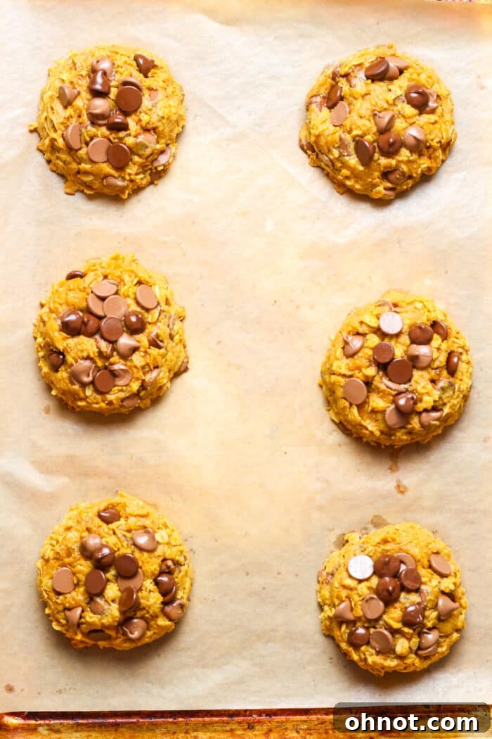 Baked pumpkin oat cookies.