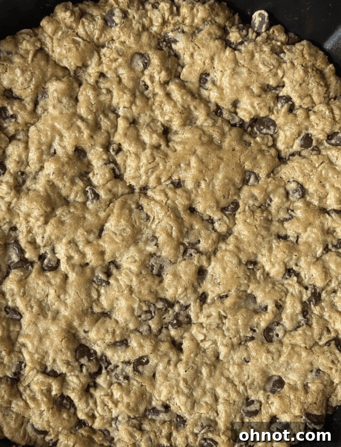Close up of giant oatmeal chocolate chip cookie, rich and warm.