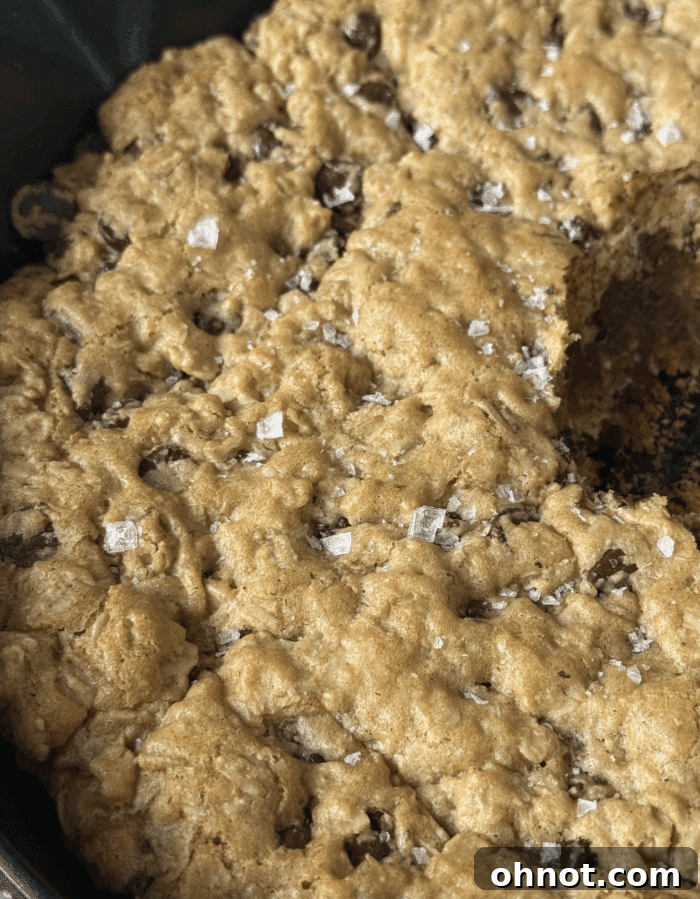 Salty oat dessert, garnished and ready to serve.