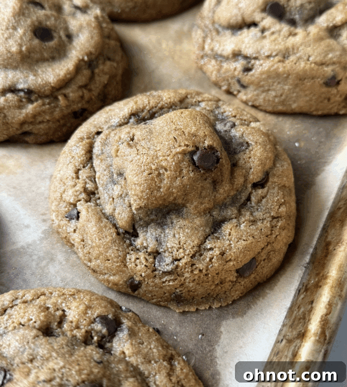 Baked thick cookies.