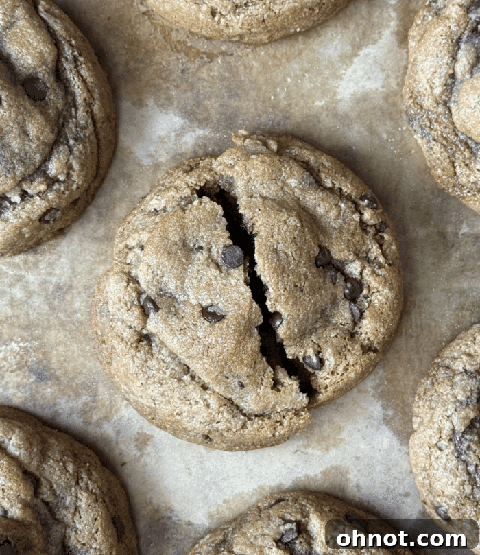 Brown apart chocolate chip cookie.