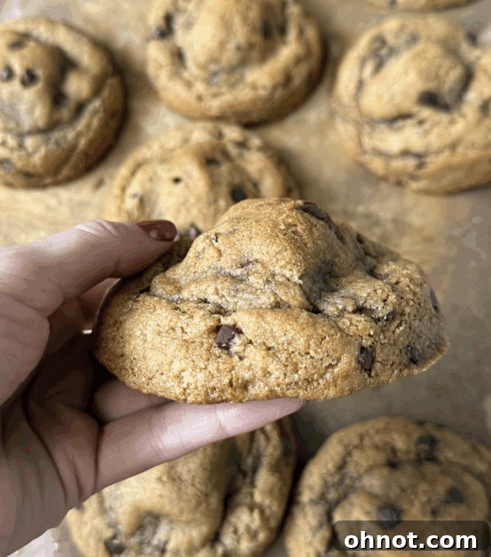 Profile of stuffed cookies.