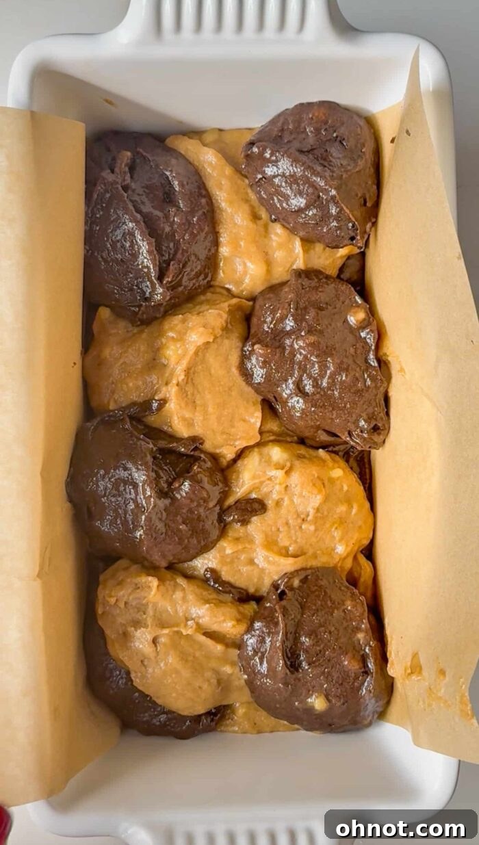 Vanilla and chocolate batter dolloped in a loaf pan, ready for swirling.