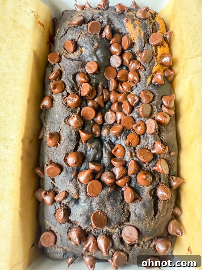 A slice of marble banana bread with chocolate chips on top.