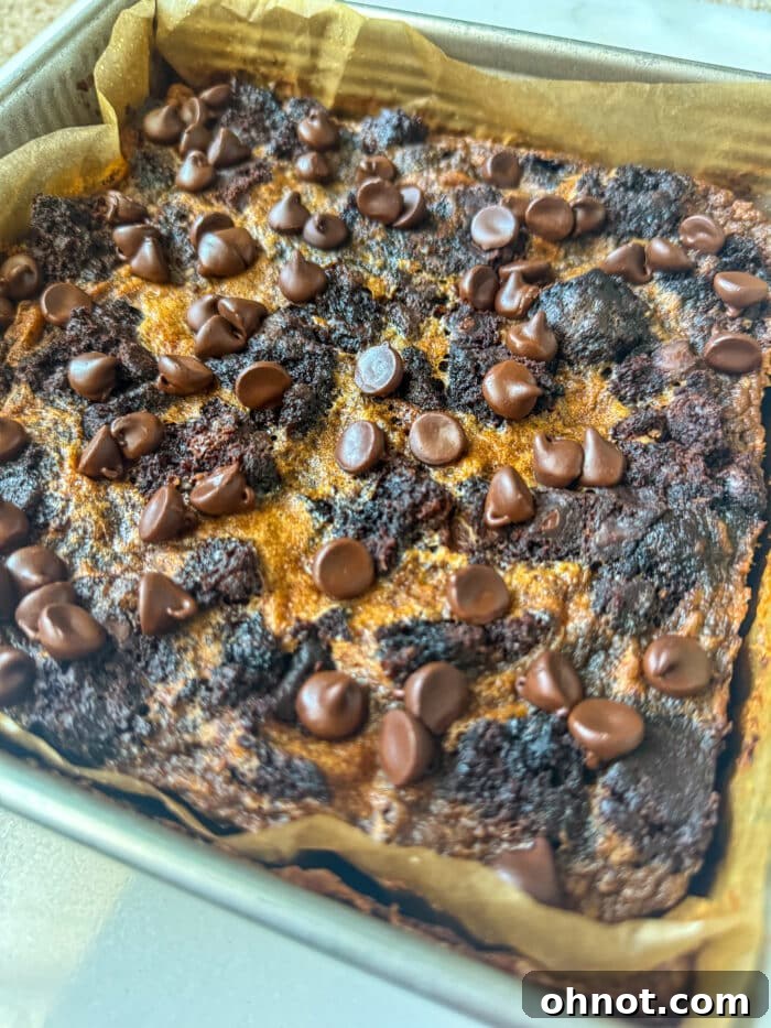 Rich chocolate bread pudding with melted chocolate chips visible throughout.