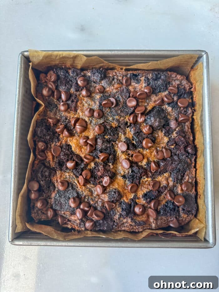 Golden-brown chocolate bread pudding, freshly baked and ready to be served.