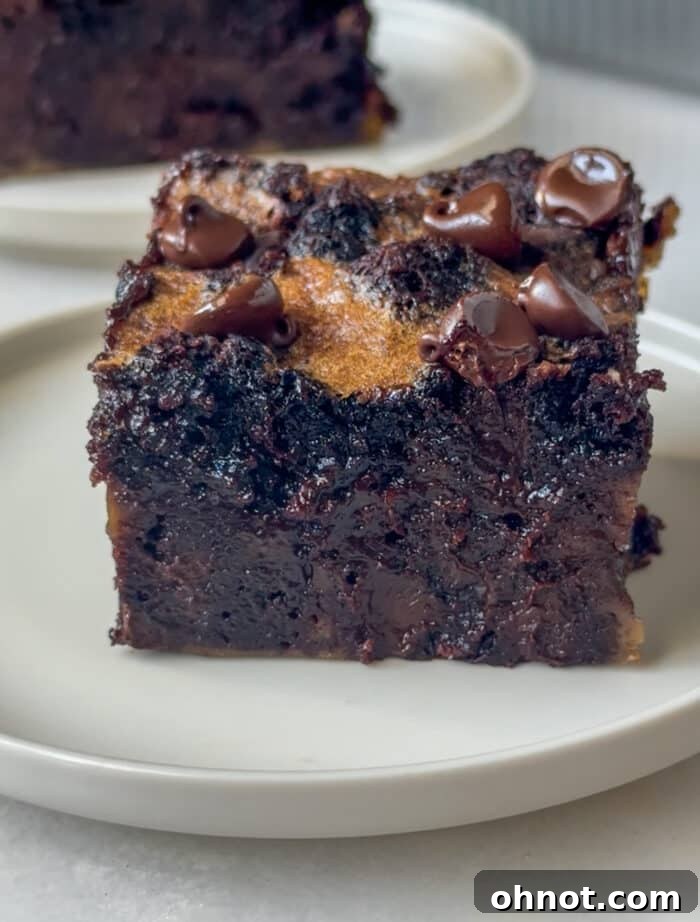 Gooey brownie bars or chocolate squares.