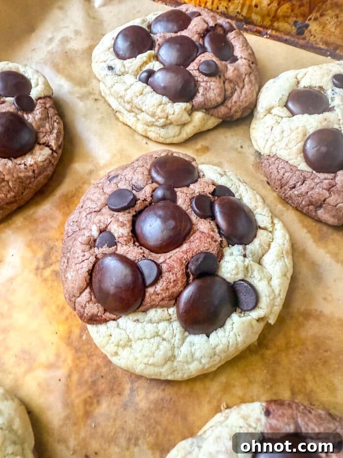 Close-up of perfectly swirled marble cookies, showcasing rich chocolate and creamy vanilla.