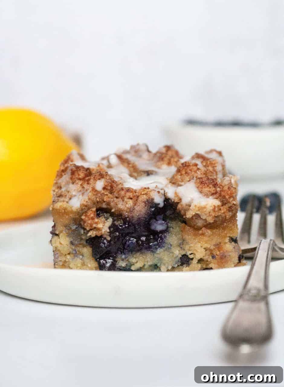 A large slice of Paleo Lemon Blueberry Coffee Cake on a white plate, showcasing the fluffy cake texture and generous crumb topping.
