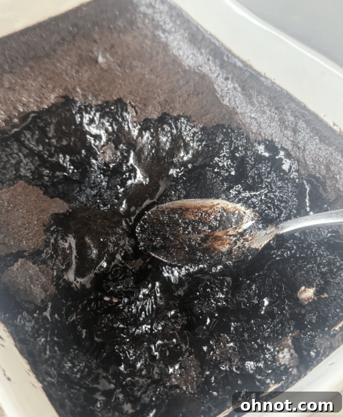 Gooey brownie pudding with a crackly top, served warm in a dish.