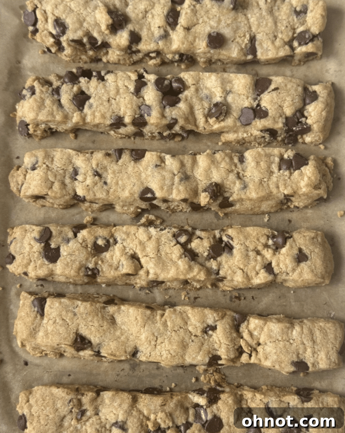 Neatly arranged rows of uncooked cookie dough 