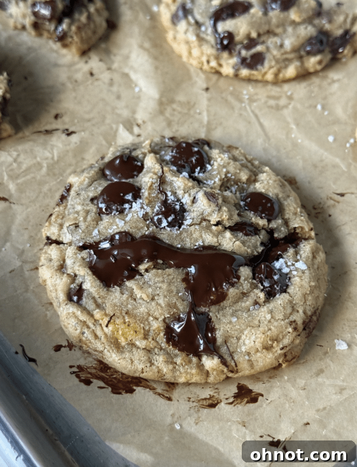 Delicious brown butter banana chocolate chip cookies with melty chocolate pockets.