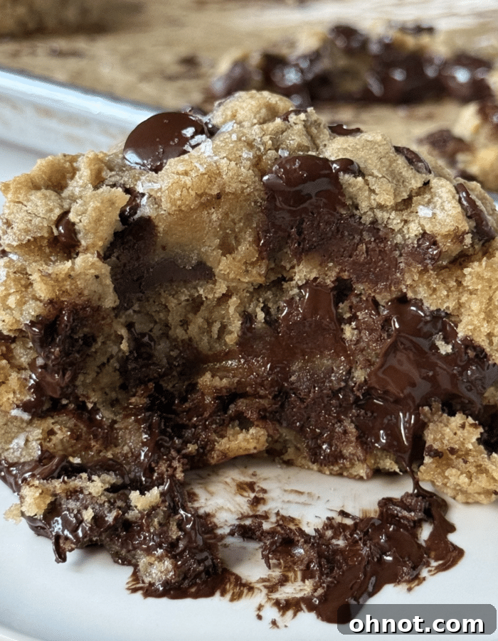 Close-up of freshly baked, gooey banana chocolate chip cookies.
