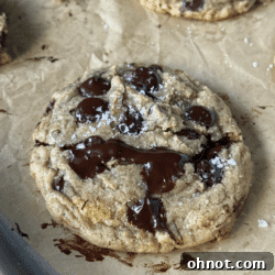 Delicious Brown Butter Banana Chocolate Chip Cookies