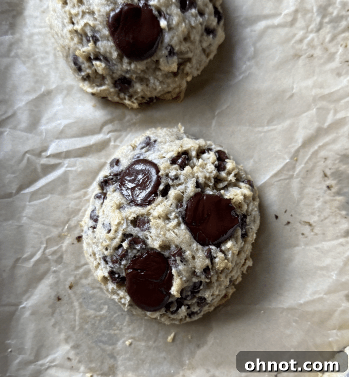 Gooey chocolate chunk dessert.