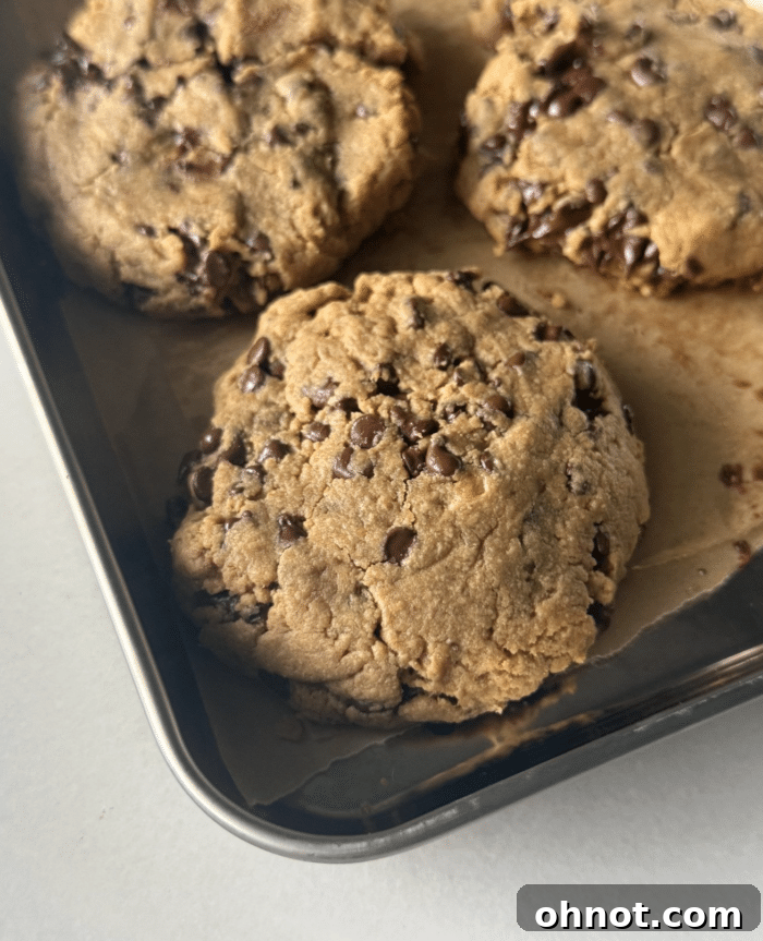 Perfectly golden-brown baked 3-ingredient protein cookies neatly arranged on a cooling rack.