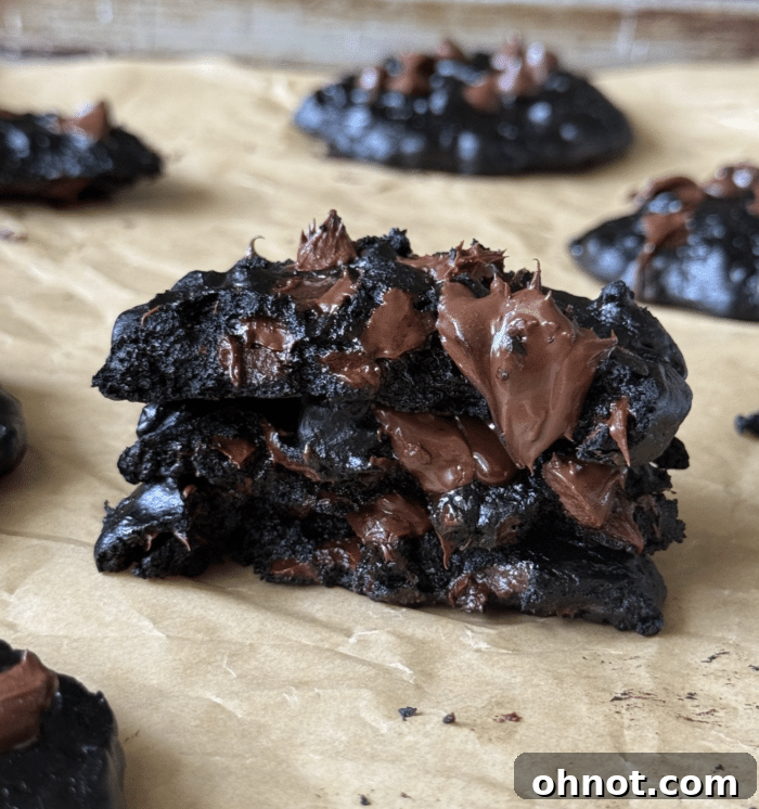 Close-up of fudgy chocolate protein cookies with melted chocolate chips