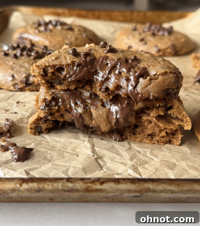 Peanut butter protein cookies, soft and chewy, garnished with chocolate chips.