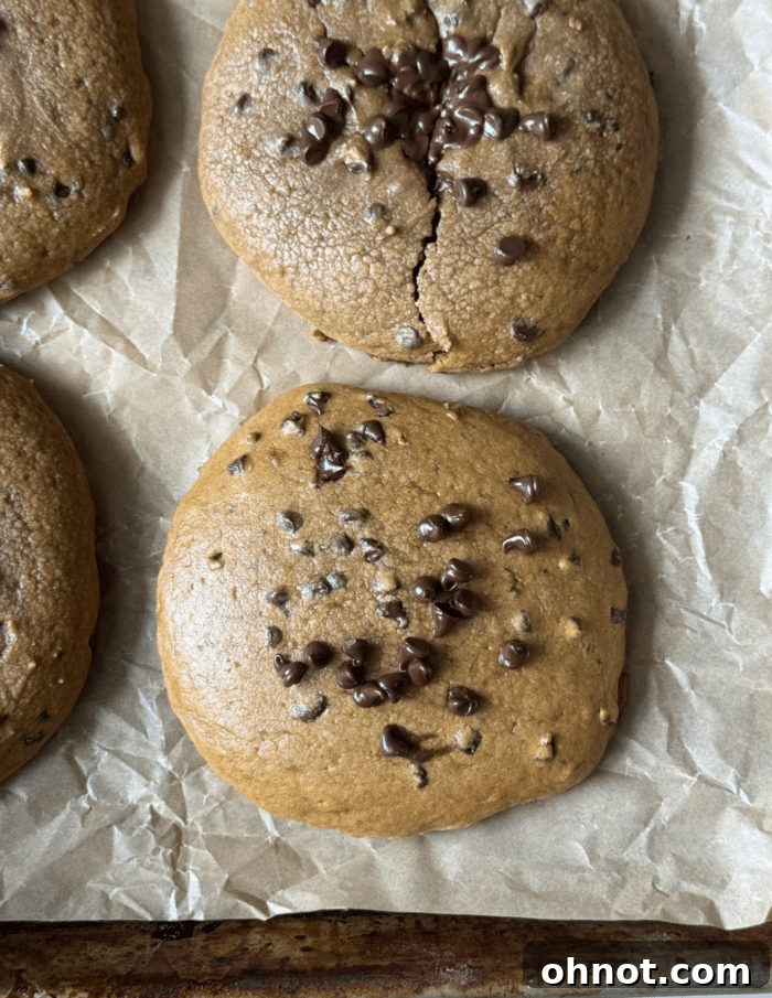 Thick, oversized peanut butter protein cookies on a cooling rack.