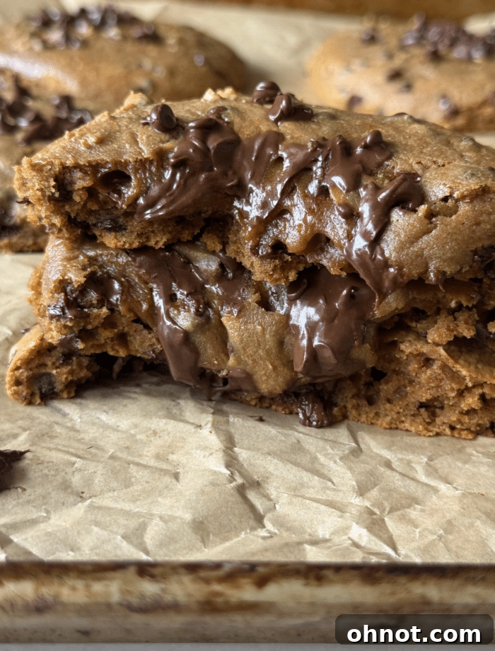 Close up view of freshly baked peanut butter protein cookies with melted chocolate chips.