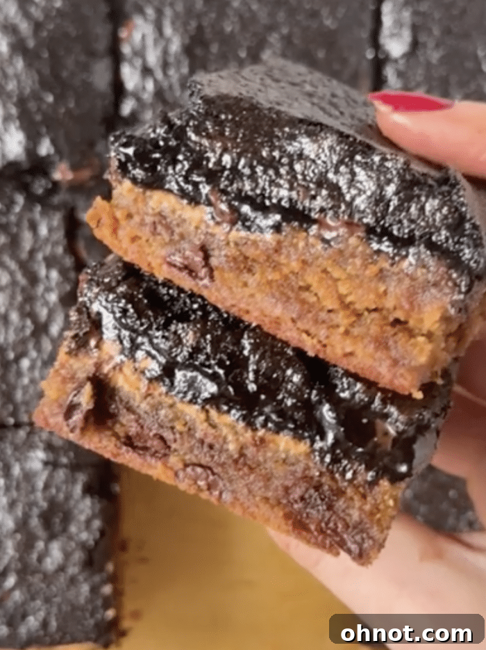 Gooey, rich brownie bars with chocolate chips.