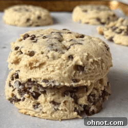 Delicious Cottage Cheese Chocolate Chip Cookies