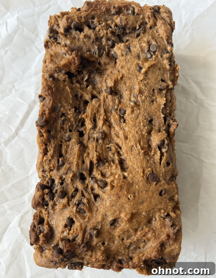 A freshly baked Cookie Dough Peanut Butter Bread, golden brown, perfectly risen, and topped with scattered chocolate chips.