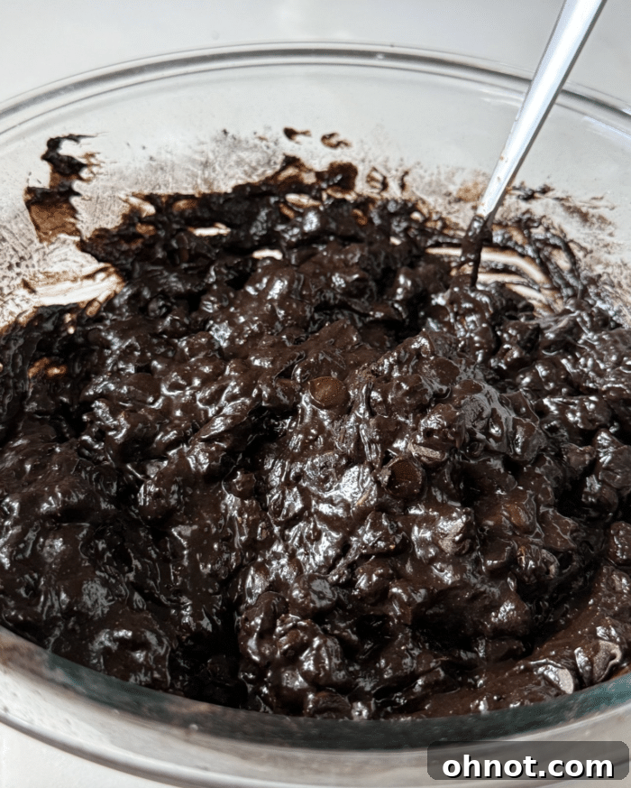 Chocolate chip brownie batter ready for baking.