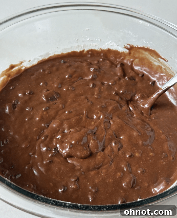 Chocolate chip brownie batter in bowl.