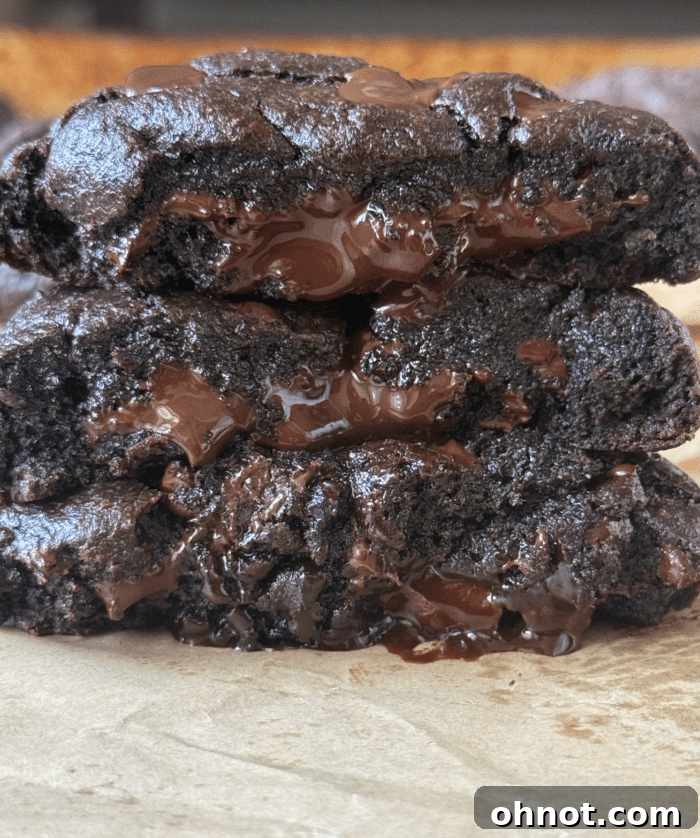 Exquisitely baked chocolate lava cookies showcasing a rich, dark brown exterior and a hint of their luxurious molten center.
