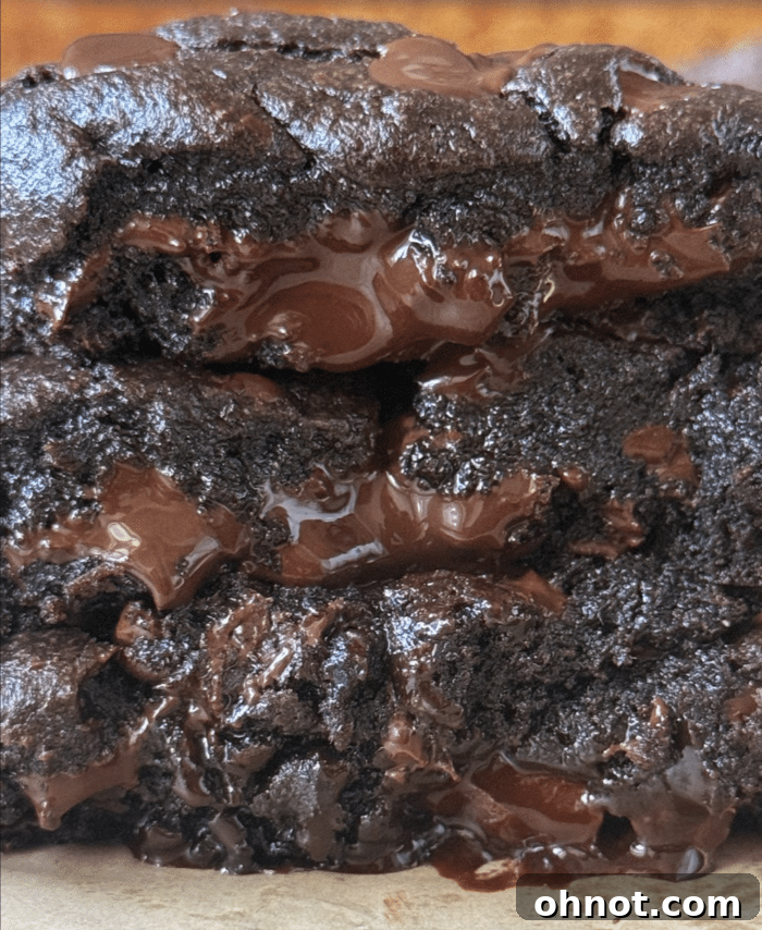 A selection of warm, gooey chocolate desserts, including lava cookies, artfully arranged on a rustic wooden surface.