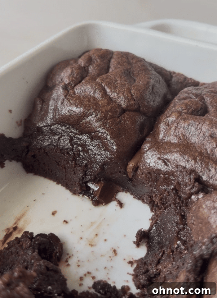 A single scoop of chocolate batter, highlighting its thick, ready-to-mold texture.