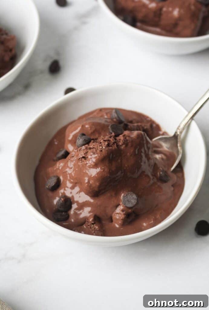 Rich, dark vegan chocolate ice cream in a white bowl, topped with chocolate chips.